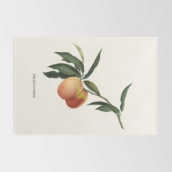 Beach Peach Rug Gallery Image 2