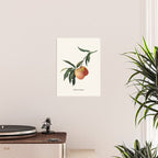 Beach Peach Poster Gallery Image 2