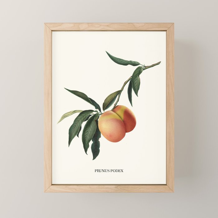 Beach Peach Mini Art Print Gallery Image 1