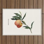 Beach Peach Outdoor Rug Gallery Image 1