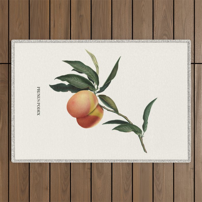 Beach Peach Outdoor Rug Gallery Image 1