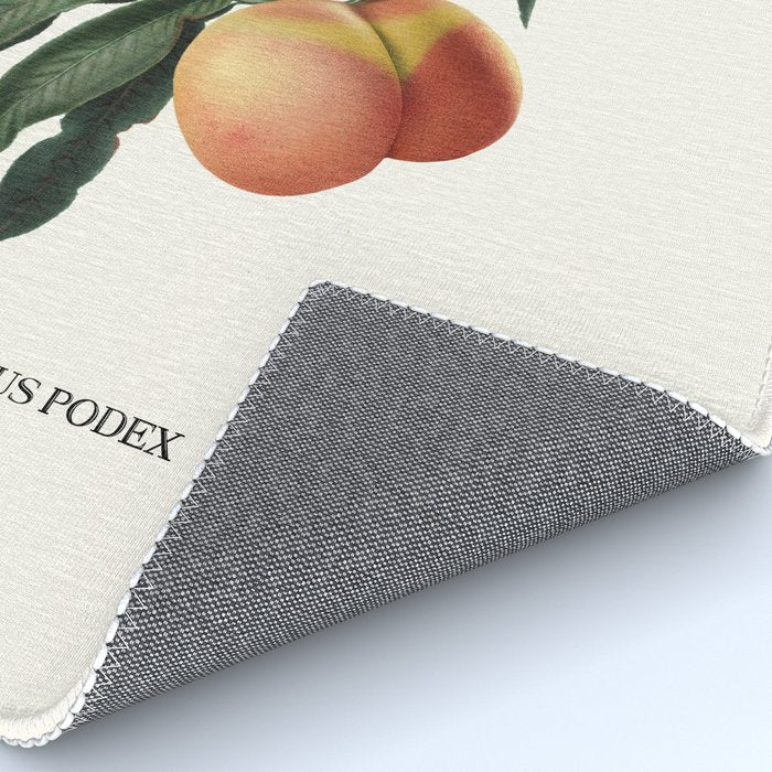 Beach Peach Rug Gallery Image 4