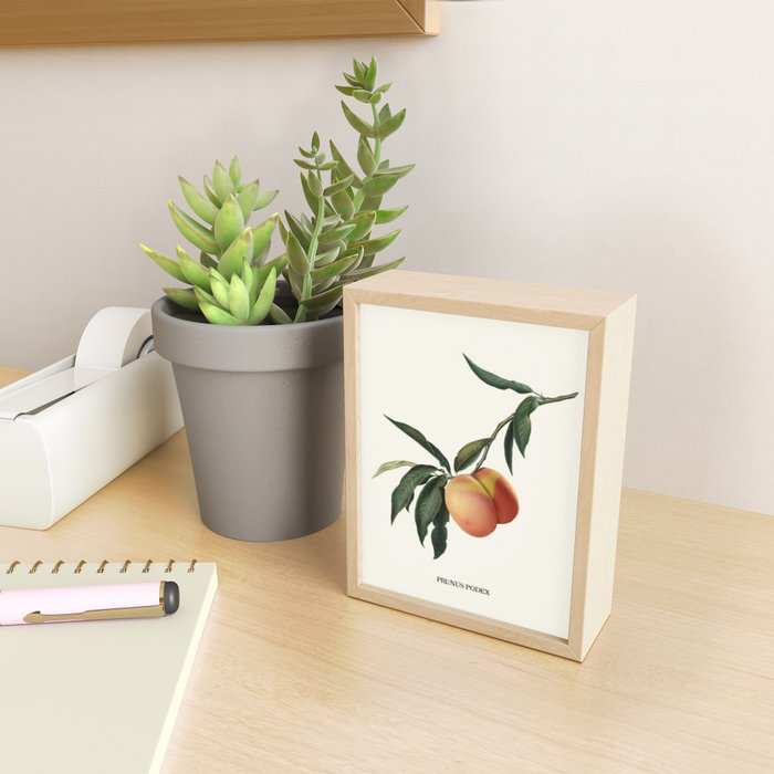Beach Peach Mini Art Print Gallery Image 2