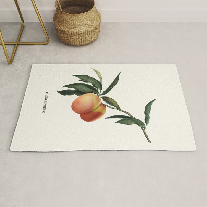 Beach Peach Rug Gallery Image 1