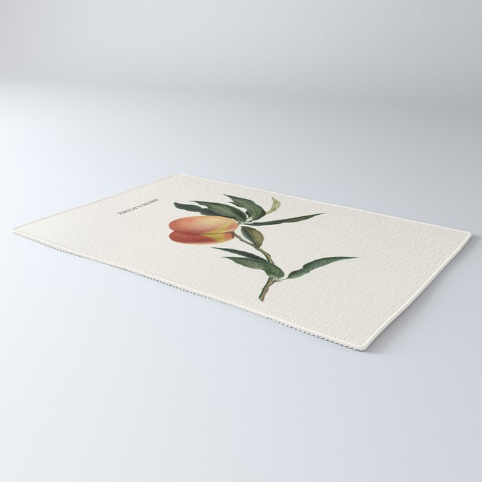 Beach Peach Rug Gallery Image 3