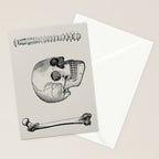 Illustrated and priced catalogue of superior surgical instruments Skull Sapine Ink Illustration Stationery Card Gallery Image 2