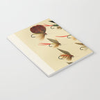 Illustrated Trout Fishing Flies Chart from Favorite Flies and Their Histories  Notebook Gallery Image 3
