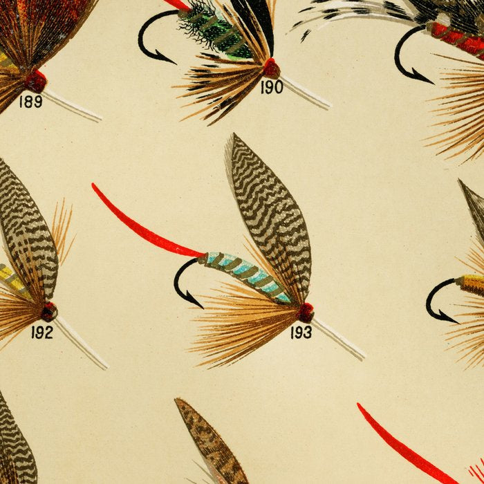 Illustrated Trout Fishing Flies Chart from Favorite Flies and Their Histories  Coffee Mug Gallery Image 2
