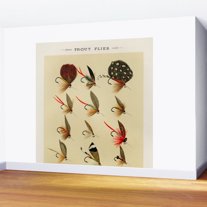 Illustrated Trout Fishing Flies Chart from Favorite Flies and Their Histories  Wall Mural Gallery Image 2