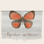 Butterfly - Euselasia erythraea Wall Hanging Gallery Image 1