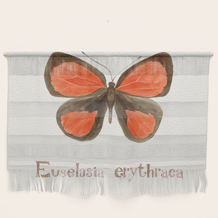 Butterfly - Euselasia erythraea Wall Hanging Gallery Image 1