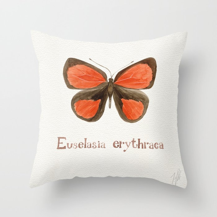 Butterfly - Euselasia erythraea Throw Pillow Gallery Image 1