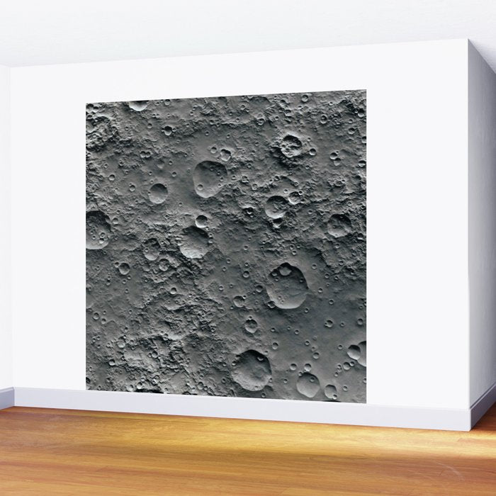 Moon Surface Wall Mural Gallery Image 2