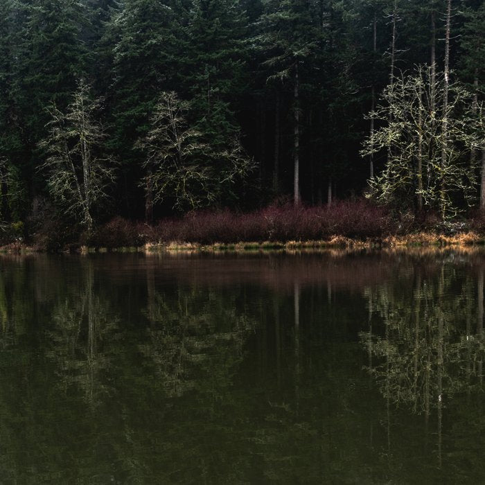 Lost In The PNW Coffee Mug Gallery Image 2