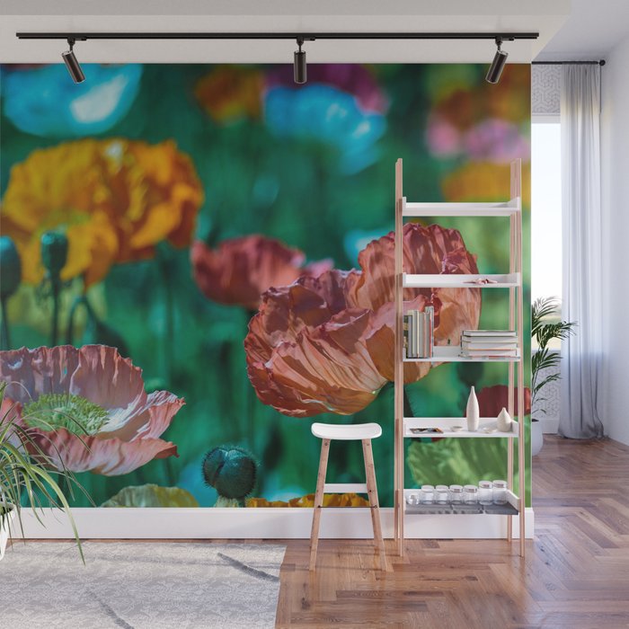 Multi-colored poppy flower blossoms color portrait photograph Wall Mural Gallery Image 1