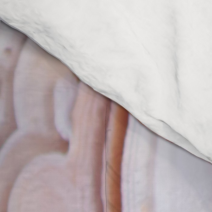 Crazy lace agate Comforter Gallery Image 4