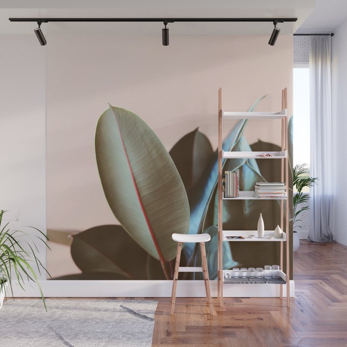 Ficus Elastica #1 Wall Mural Gallery Image 1