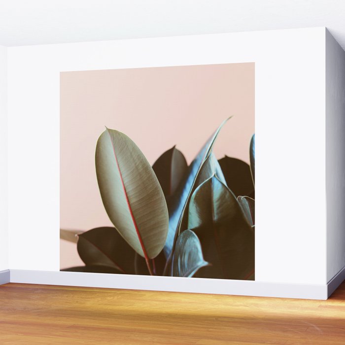 Ficus Elastica #1 Wall Mural Gallery Image 2