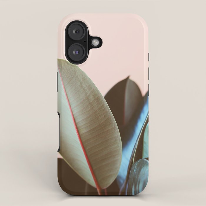 Ficus Elastica #1 iPhone Case Gallery Image 1