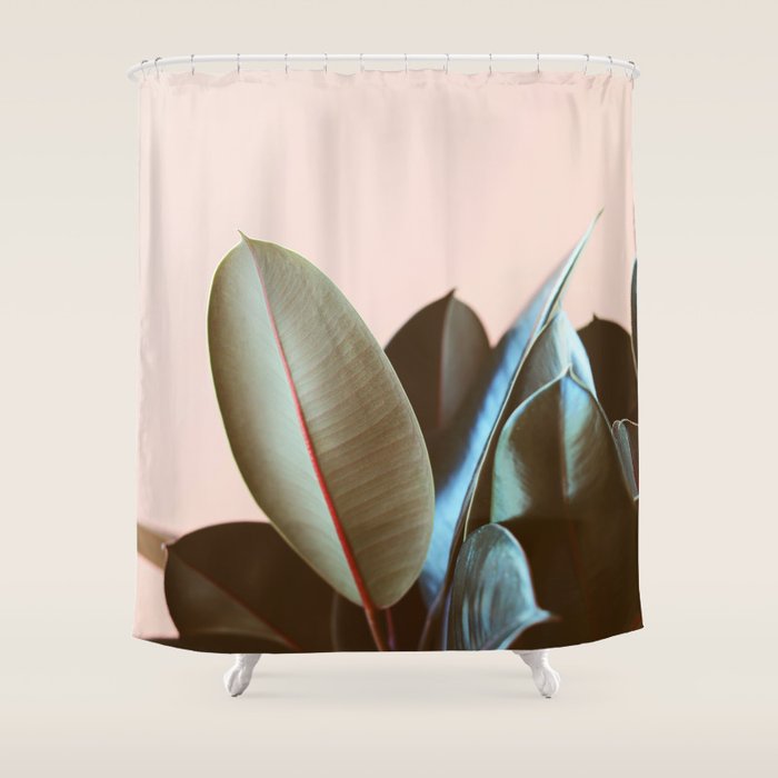 Ficus Elastica #1 Shower Curtain Gallery Image 1