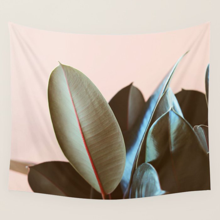 Ficus Elastica #1 Wall Tapestry Gallery Image 4