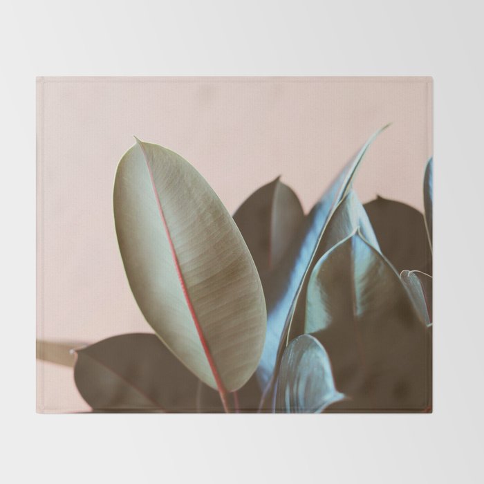 Ficus Elastica #1 Throw Blanket Gallery Image 2