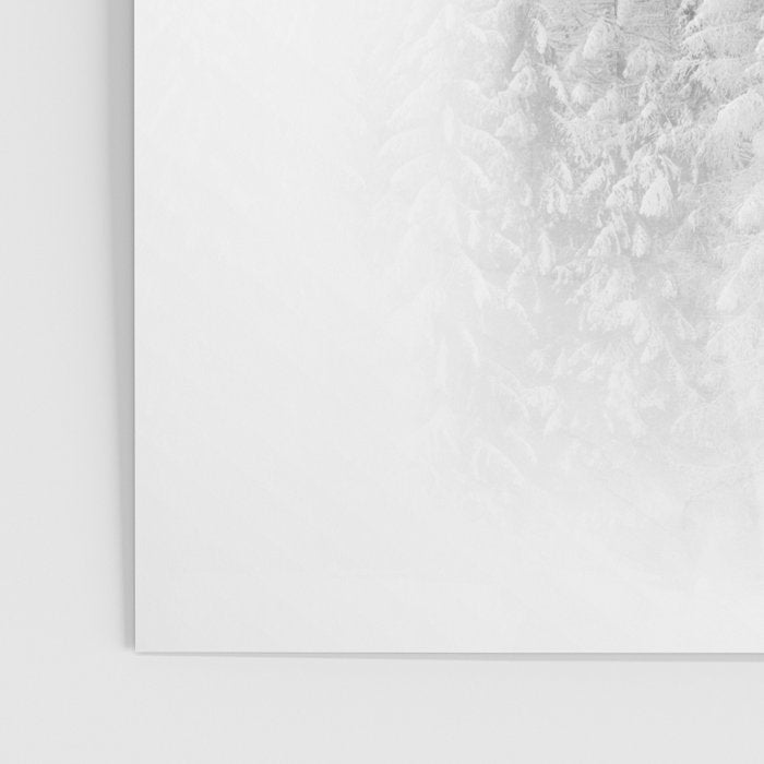 The Wolf and the Forest Poster Gallery Image 3
