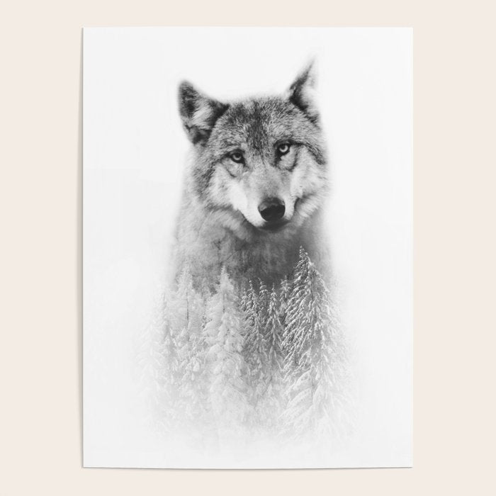 The Wolf and the Forest Poster Gallery Image 1