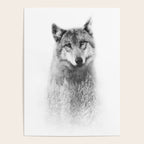 The Wolf and the Forest Poster Gallery Image 4