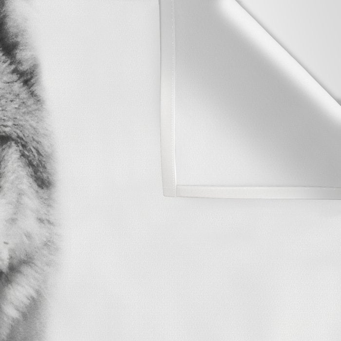 The Wolf and the Forest Wall Tapestry Gallery Image 3