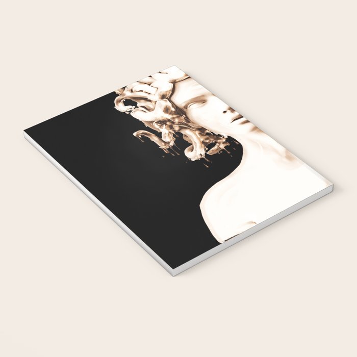 Bronze Medusa Notebook Gallery Image 3