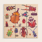 Beetle - pastel Wood Wall Art Gallery Image 1