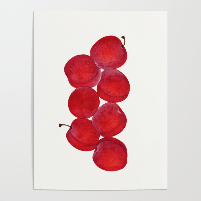 Vintage Plums Illustration Classic Botanical Art Antique Fruit Drawing Retro Botanical Print Decorat Poster Gallery Image 4