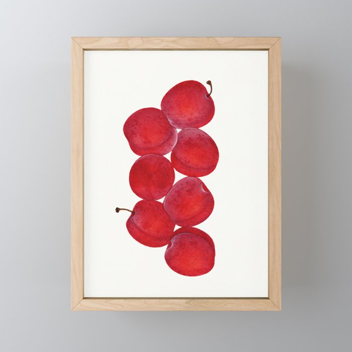 Vintage Plums Illustration Classic Botanical Art Antique Fruit Drawing Retro Botanical Print Decorat Mini Art Print Gallery Image 1