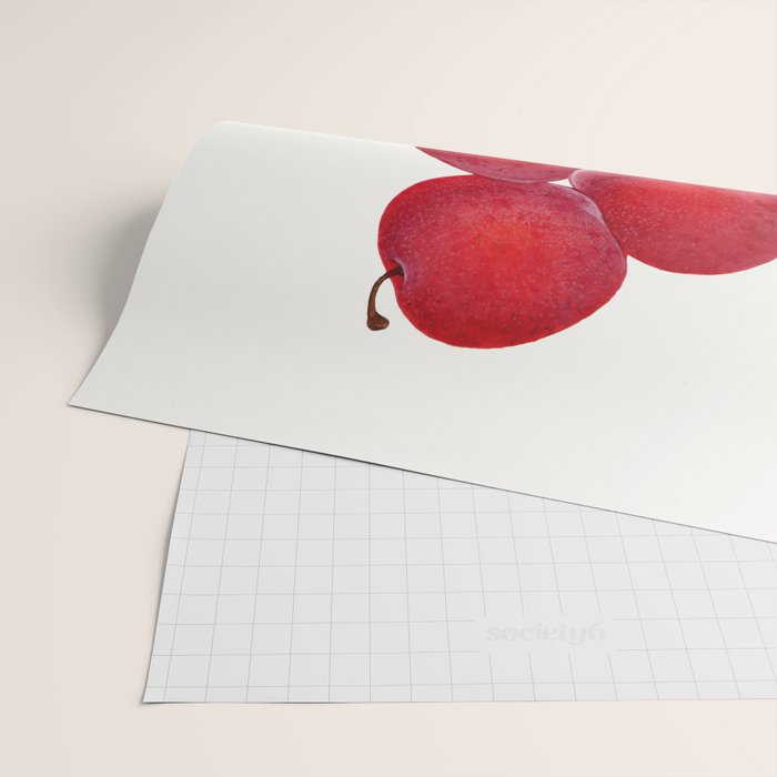 Vintage Plums Illustration Classic Botanical Art Antique Fruit Drawing Retro Botanical Print Decorat Wrapping Paper Gallery Image 2