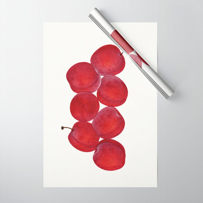 Vintage Plums Illustration Classic Botanical Art Antique Fruit Drawing Retro Botanical Print Decorat Wrapping Paper Gallery Image 1