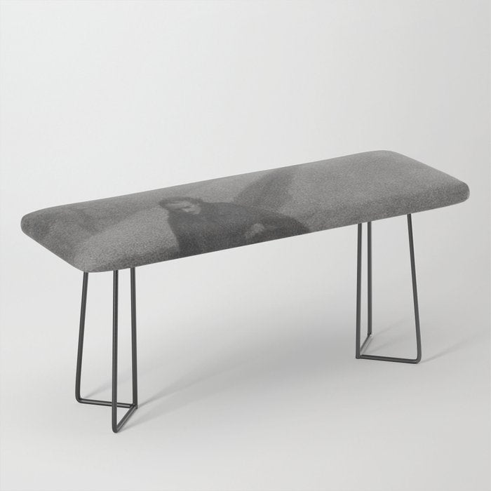 Edgar Allan Poe Walking the Bronx's High Bridge black and white lithograph  Bench Gallery Image 1