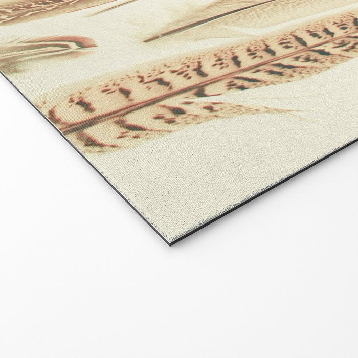 Found Feathers Welcome Mat Gallery Image 2