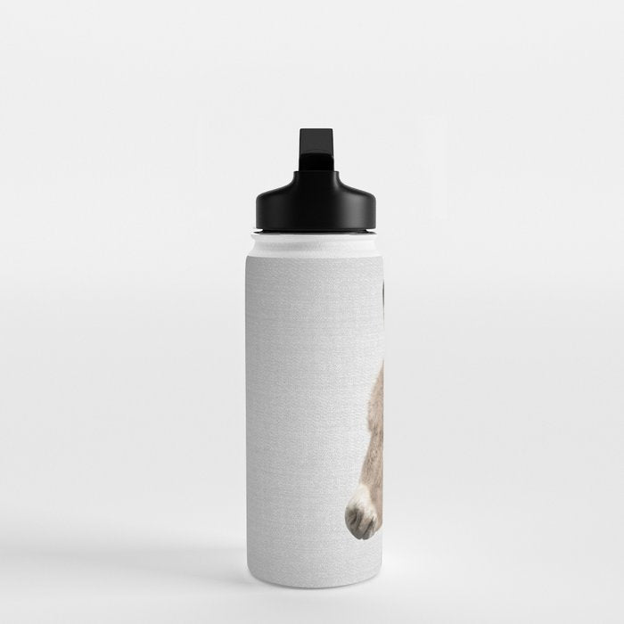 Donkey - Colorful Water Bottle Gallery Image 3