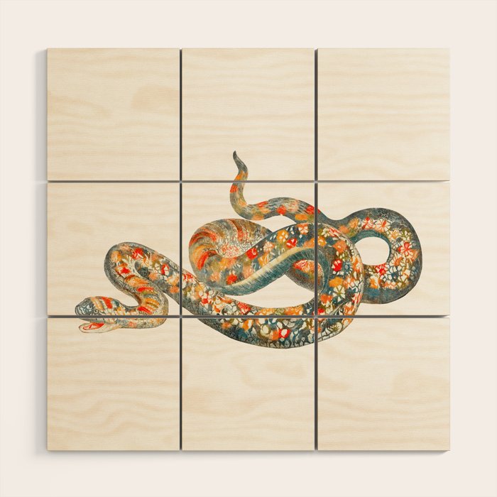 A snake by Johan Teyler  Wood Wall Art Gallery Image 1