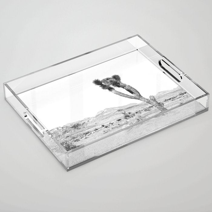 Vintage Desert Scape B&W // Cactus Nature Summer Sun Landscape Black and White Photography Acrylic Tray Gallery Image 1