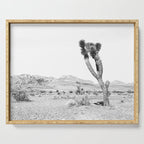 Vintage Desert Scape B&W // Cactus Nature Summer Sun Landscape Black and White Photography Serving Tray Gallery Image 1