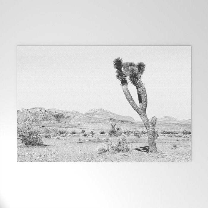 Vintage Desert Scape B&W // Cactus Nature Summer Sun Landscape Black and White Photography Welcome Mat Gallery Image 1