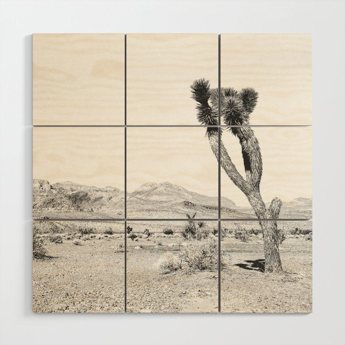 Vintage Desert Scape B&W // Cactus Nature Summer Sun Landscape Black and White Photography Wood Wall Art Gallery Image 1
