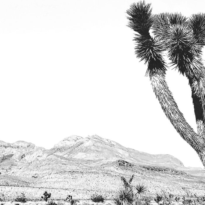 Vintage Desert Scape B&W // Cactus Nature Summer Sun Landscape Black and White Photography Coffee Mug Gallery Image 2