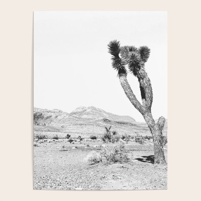 Vintage Desert Scape B&W // Cactus Nature Summer Sun Landscape Black and White Photography Poster Gallery Image 4