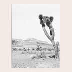 Vintage Desert Scape B&W // Cactus Nature Summer Sun Landscape Black and White Photography Poster Gallery Image 4