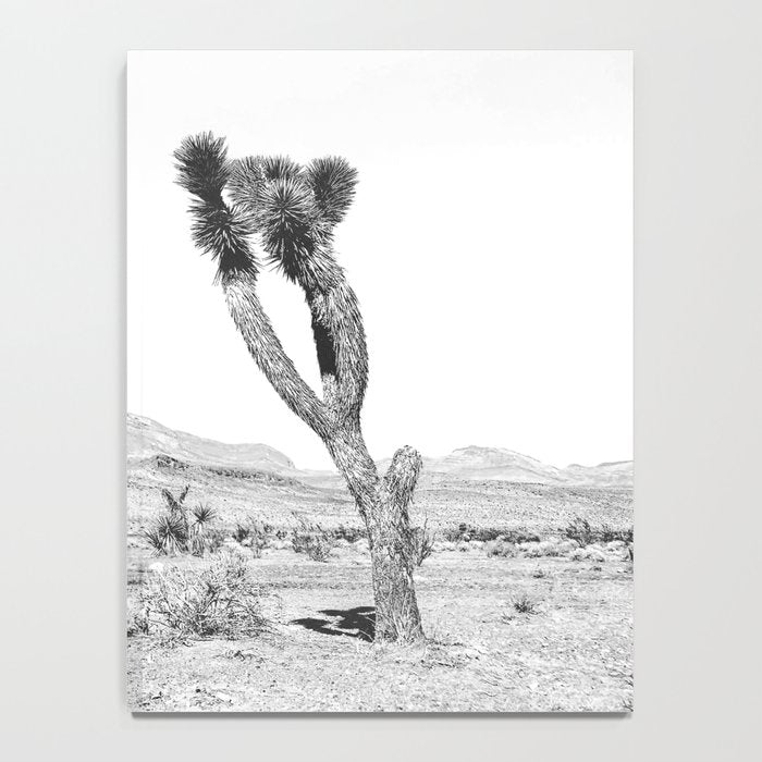 Vintage Desert Scape B&W // Cactus Nature Summer Sun Landscape Black and White Photography Notebook Gallery Image 4