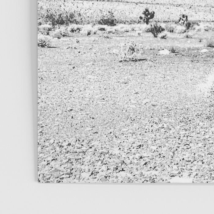 Vintage Desert Scape B&W // Cactus Nature Summer Sun Landscape Black and White Photography Poster Gallery Image 3
