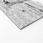 Vintage Desert Scape B&W // Cactus Nature Summer Sun Landscape Black and White Photography Welcome Mat Gallery Image 2